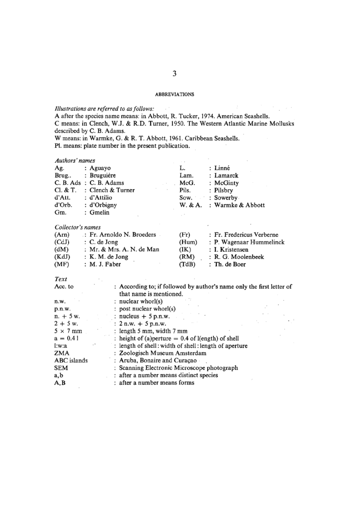 Marine Gastropods From Curacao Aruba And Bonaire